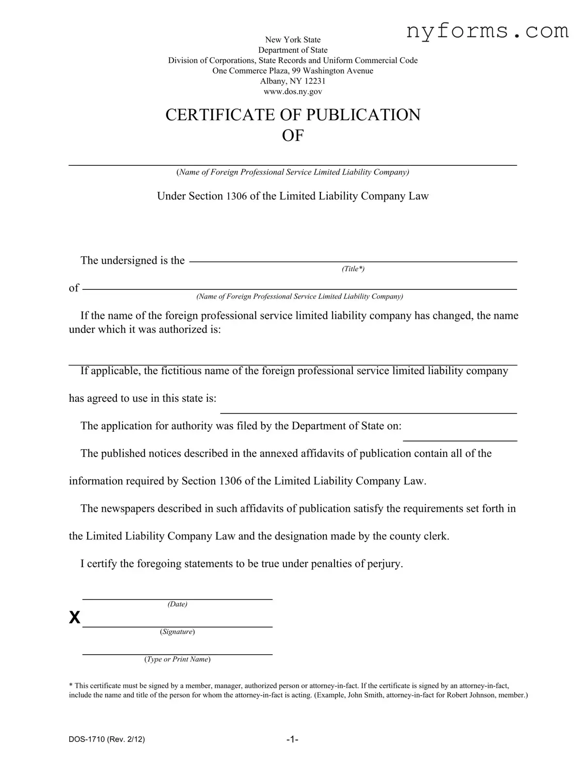 Fill a Valid New York Dos 1710 Template