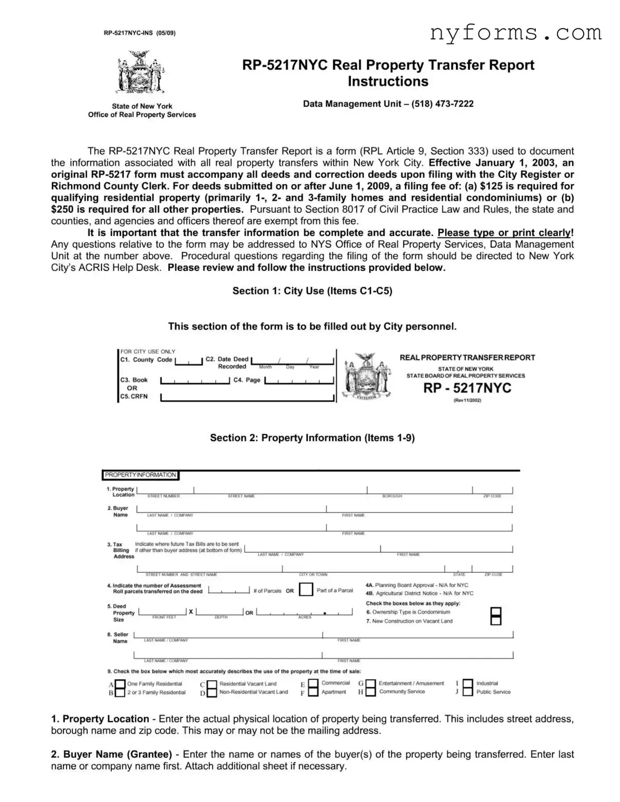 Fill a Valid Rp 5217Nyc Template