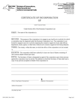 Fill a Valid New York Certificate Template